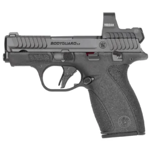 S&W BDYGRD 2.0 RFX1 380ACP 12RD TS