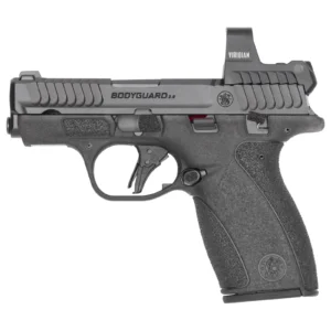 S&W BDYGRD 2.0 RFX1 380ACP 10RD TS